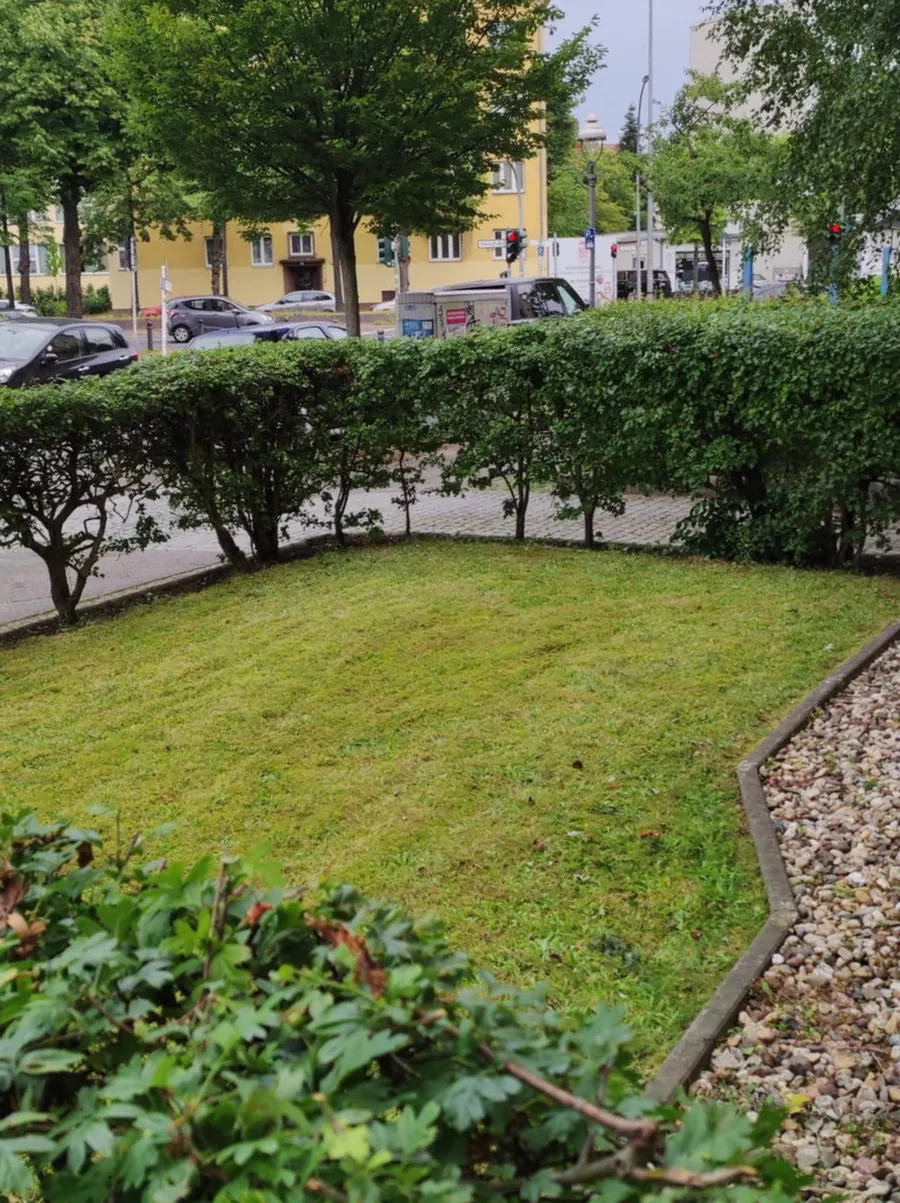 Geschnittene Hecke und Rasenfläche einer Wohnanlage