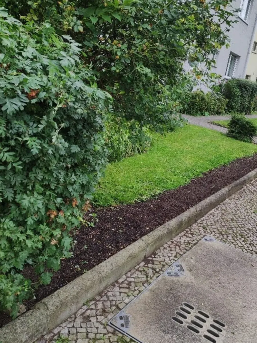 Gepflegter Weg mit Grünstreifen an einem Wohnhaus